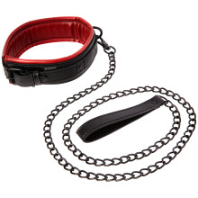 Sportsheets Saffron Halsband met Riem