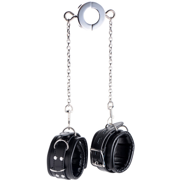 Master Series Hell's Tether Ballstretcher Humbler