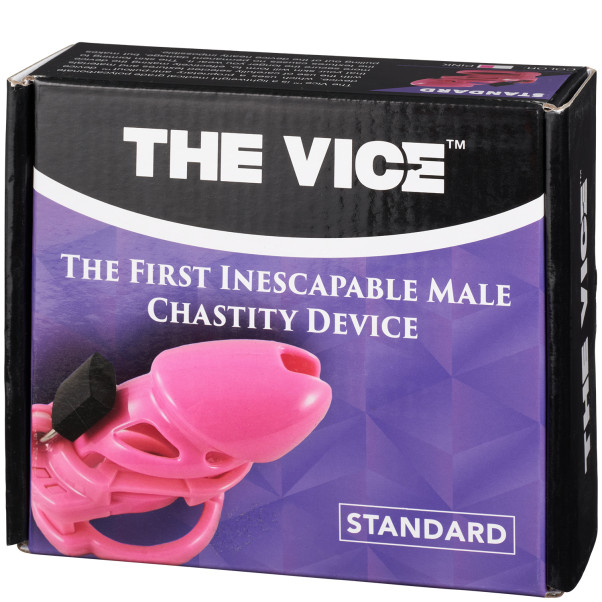The Vice Standard Kuisheidskooi