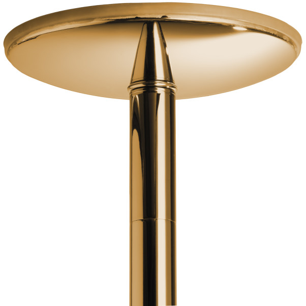 X-POLE Xpert Titanium Gold Danspaal 4,5 cm