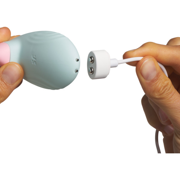 Satisfyer Tropical Tip Clitoris Vibrator