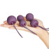 Je Joue Ami Purple Geishaballen Trainingsset