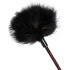 Scandal Feather Crop