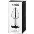 Sinful Black Jewel Metalen Buttplug Small
