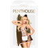 Penthouse Teaser Dienstmeidjeskostuum