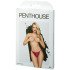 Penthouse Too Hot To Be Real Bordeaux Slipje