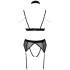 Abierta Fina Mesh Peekaboo BH Set