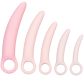 CalExotics Inspire Siliconen Dilatator Set