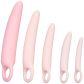 CalExotics Inspire Siliconen Dilatator Set