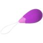 Fantasy for Her Vibratie Ei met Afstandsbediening