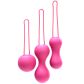 Je Joue Ami Pink Geishaballen Trainingsset