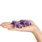 Nipplettes Paarse Tepelklemmen met Vibrator