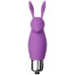 baseks Teasing Rabbit Vibrator