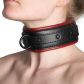 Sportsheets Saffron Halsband met Riem